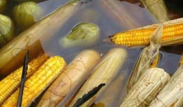 农村玉米爆料视频播放,揭秘农村玉米爆笑视频背后的故事