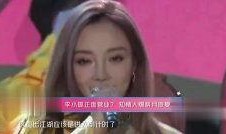 大苏爆料李小璐视频,李小璐视频事件始末