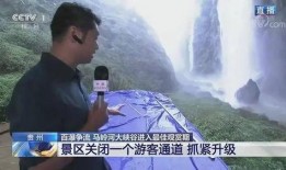 峡谷新闻大爆料视频,新闻大爆料视频背后的惊人真相