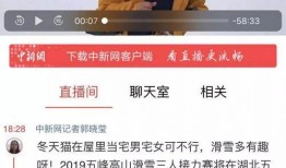二八最新爆料新闻直播回放,直播回放揭示惊人内幕