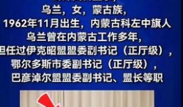 每日热点爆料社会新闻,揭秘今日爆料的惊人新闻