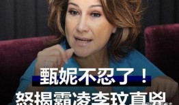 甄妮爆料聊天记录视频在线观看,揭秘娱乐圈幕后真相