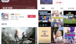 河南爆料抖音视频平台官网,揭秘热门视频背后的故事