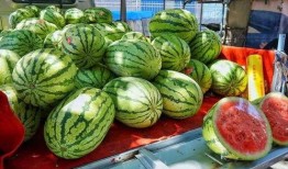 西宁网红吃瓜事件真相视频,真相视频曝光背后的真相