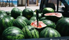 西宁网红吃瓜事件真相视频,真相视频曝光背后的真相