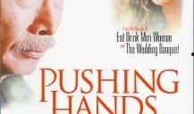 推手电影在线观看,一场关乎人生哲理的巅峰对决