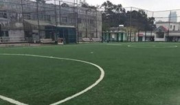 广州足球场爆料事件视频,揭秘幕后真相