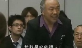 辩护人高清在线观看,法律斗争的视觉盛宴