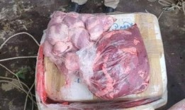 黑心猪肉大爆料怎么做视频,视频揭秘食品安全危机