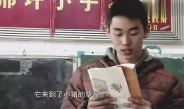 林子濠变形计在线观看,蜕变之旅，见证成长与改变