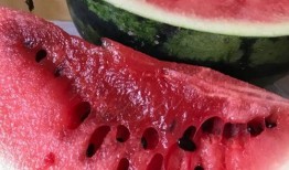 小西瓜特效爆料视频大全,揭秘热门视频背后的魔法瞬间