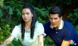 新鱼之恋泰剧在线观看,浪漫邂逅，爱在海洋深处