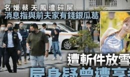 港媒爆料蔡天风视频,揭秘神秘人物真实身份