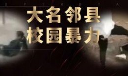 河北学校爆料事件视频最新,视频揭露惊人真相，家长学生联名呼吁彻查