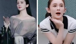 赵樱子爆料原视频,揭秘背后惊人内幕