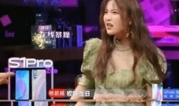 韩瑞希爆料女爱豆视频,真相与争议并存