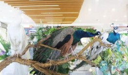 郑州公司吃瓜娱乐,吃瓜娱乐背后的职场生态探秘