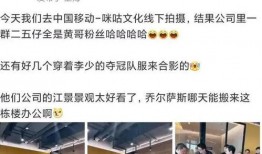 舅舅爆料 暴雪视频大全,暴雪视频大全背后的精彩故事