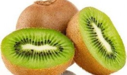 猕猴桃最新爆料,揭秘神秘果实的神奇功效与种植奥秘