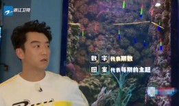 郑恺爆料静姐视频播放时间,揭秘娱乐圈幕后故事