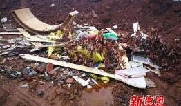 衡阳新闻爆料,突发事件引发关注，最新进展情况揭晓