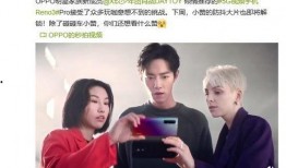 李朝爆料陈律视频播放,真相与争议并存