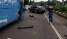 三乡车祸最新爆料,事故原因揭秘，伤亡情况及后续处理全解析