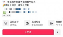 新疆导游爆料视频最新版,揭秘神秘新疆背后的真实故事