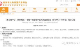 九号e300p最新爆料,续航翻倍，智能升级，揭秘最新爆料！”